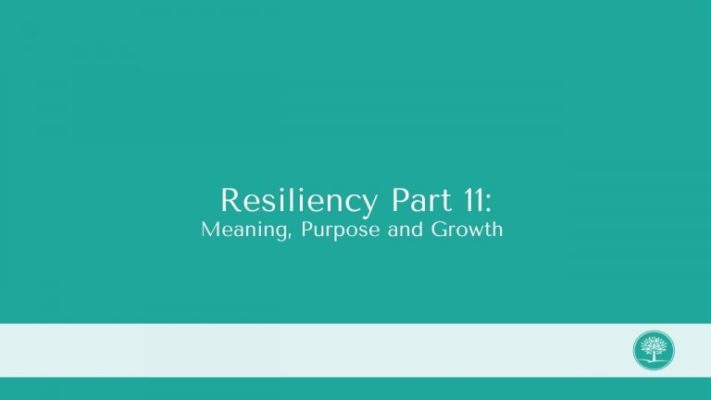 Resiliency-Part-11-768x432